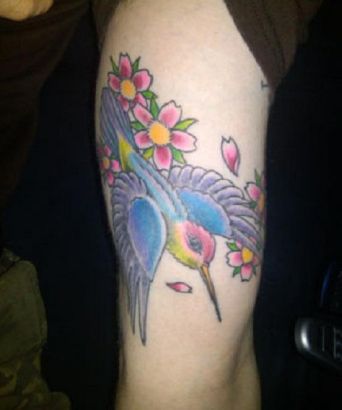 Hummingbird Pics Tattoos On Arm